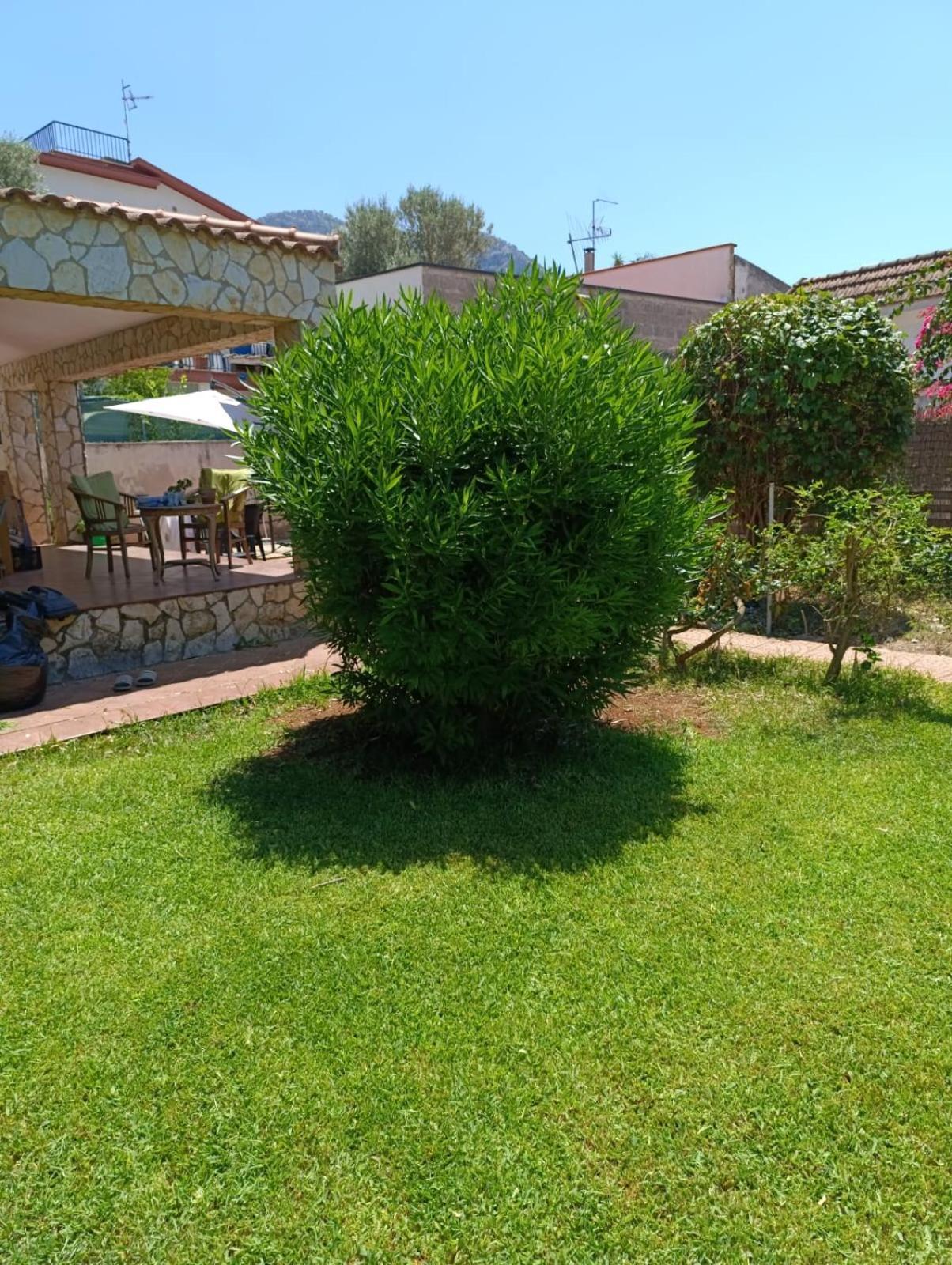 Villa Garden House Mondello Palermo Exterior foto